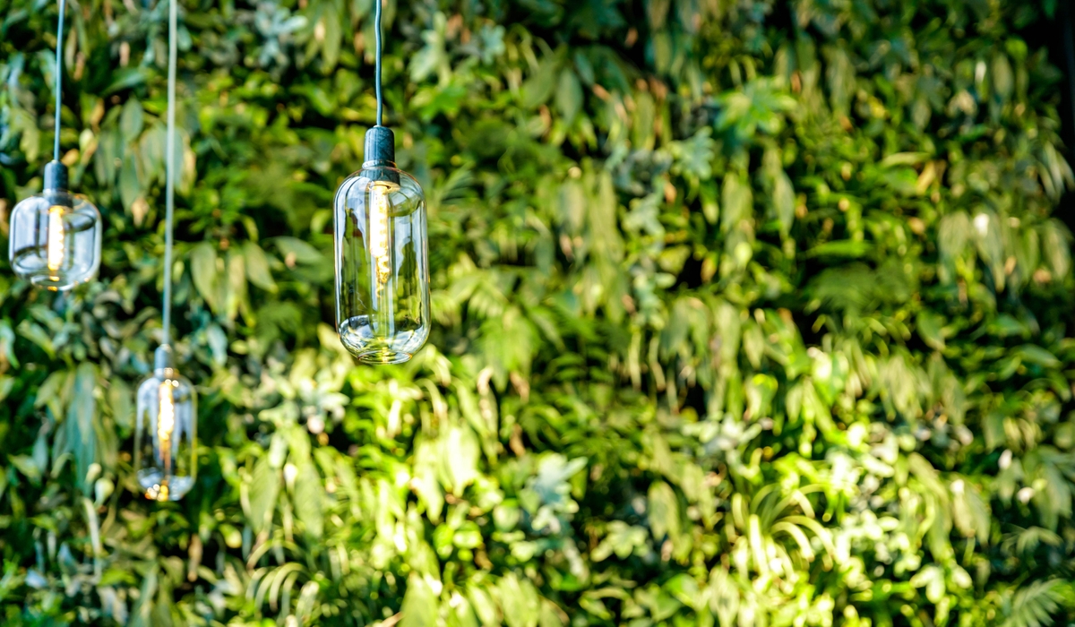 Green lush background. Fancy lamp bulbs hanging from the ceiling